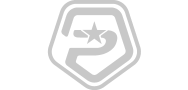 icon polaris 2